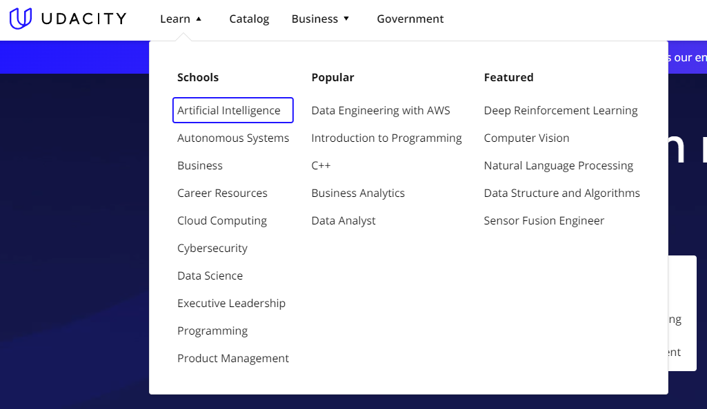 Udemy vs Udacity 2024: Udacity Course